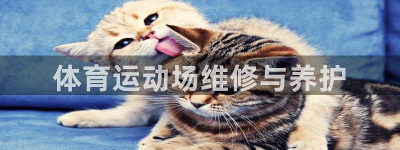 77体育app下载官网