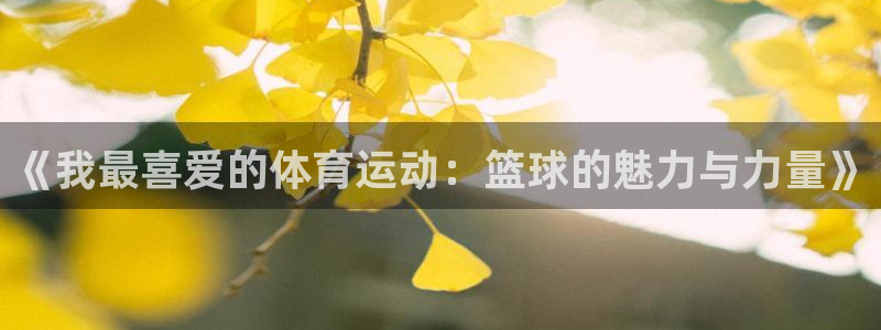 77体育