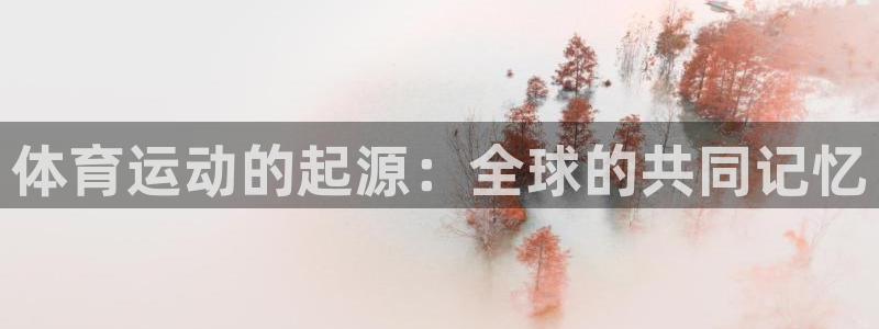77体育