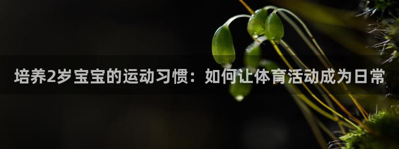 77体育：培养2岁宝宝的运动习惯：如何让体育活动成为日常
